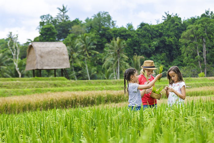 75% du khách Việt Nam cho biết họ sẵn sàng chi trả nhiều hơn cho các lựa chọn du lịch bền vững đã được cấp chứng nhận